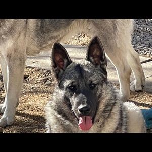 Meet your Posher, Robin